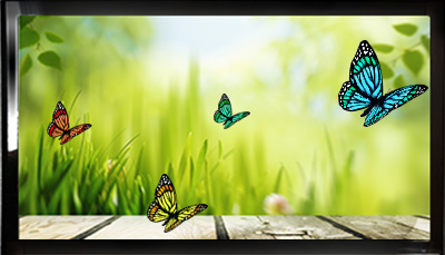TV with Butterflies